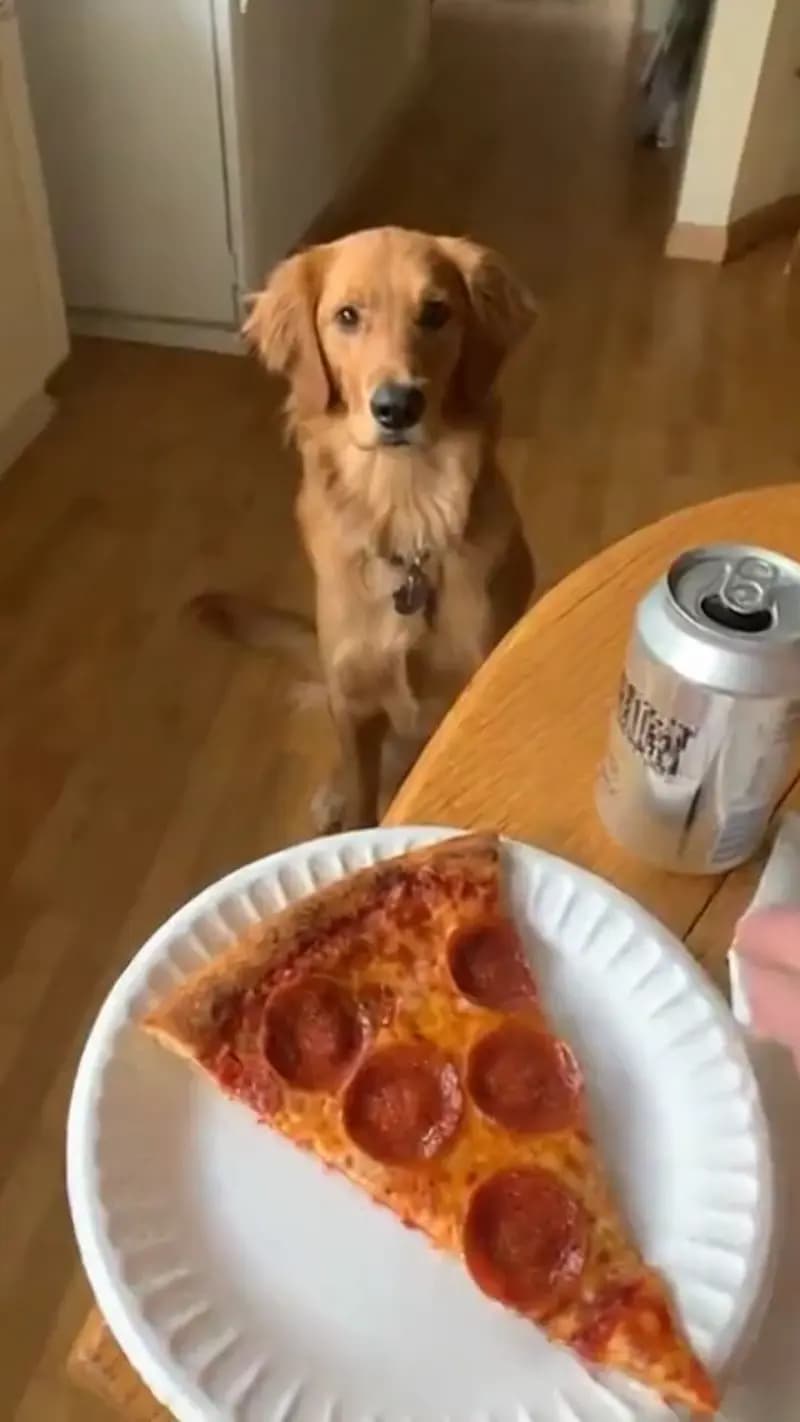 New vertical video run